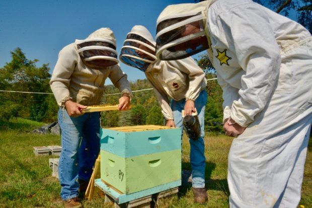 Appalachians learn beekeeping skills. Source: John Farrell