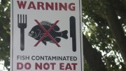 Warning - Contaminated fish