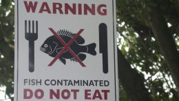 Warning - Contaminated fish