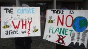 Fridays for Future, Demo in Aschaffenburg. Photo credit: Andol