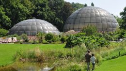 Botanical Garden of the University of Zurich. Photo credit: Roland Zh