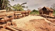 Deforestation in Madagascar. Photo credit: Rod Waddington