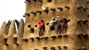 The facade of the Djenné mosque needs repairing every year. The climate change has definitely worsened the process of loss. Photo credit: Ralf Steinberger