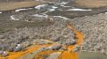 A tributary of the Kugororuk River runs orange in 2023. Photo by Josh Koch, U.S. Geological Survey. Public Domain.