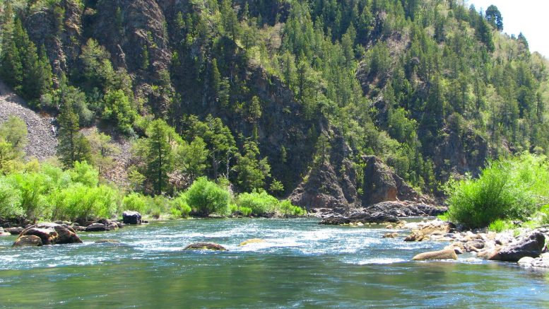 Biobío River in the region of Lonquimay, Chile. Photo credit: Hermessolar (Wikimedia)