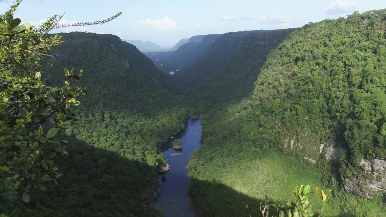 Kaieteur Falls, Guyana. Photo credit: Dan Sloan (Flickr)