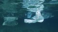 Plastic floating in the water, Greece. Photo credit: Gavin Parsons (Wikimedia)