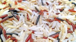 White, Brown, Red & Wild rice. Photo credits: Earth100 (Wikimedia)