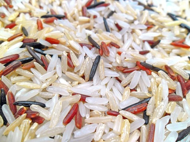 White, Brown, Red & Wild rice. Photo credits: Earth100 (Wikimedia)