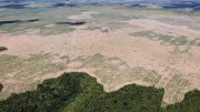 Deforestation in the Gurupi Biological Reserve and Caru and Alto Turiaçu Indigenous Lands, Brazil. Photo credits: Ibama (Wikimedia)