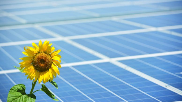 Starokozache Solar Park. Photo credits: Activ Solar (Flickr)