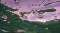 Bubbles on surface of water. Photo credits: Connie Ma (Wikimedia)