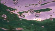 Bubbles on surface of water. Photo credits: Connie Ma (Wikimedia)