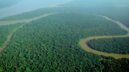 Aerial view of the Amazon rainforest. Photo credit: lubasi (Wikimedia)