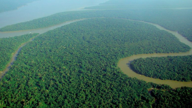 Aerial view of the Amazon rainforest. Photo credit: lubasi (Wikimedia)