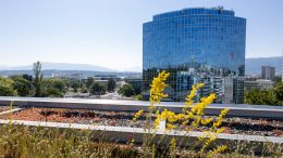 Green Roof at the WIPO Headquarters. Photo credit: WIPO (Flickr)