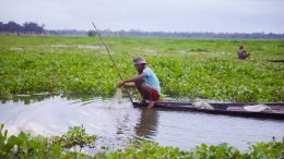 Fishermen on a water hyacinth-infested lake. Photo credit: Pradipta (Pixahive)